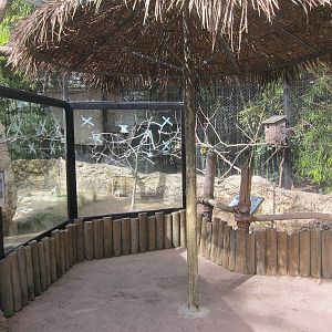 Radiated Tortoise Exhibit