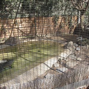 Bamboo Partridge Exhibit