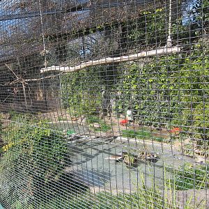 Scarlet Ibis Exhibit