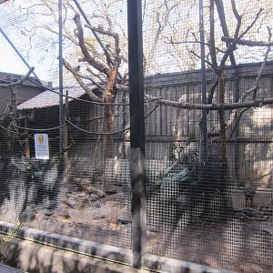 Multi-Species Exhibit