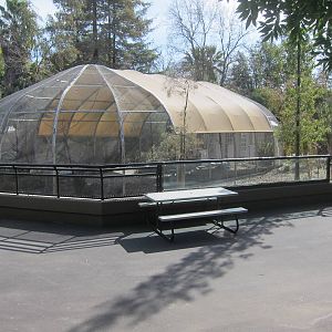 Seasonal Lorikeet Aviary