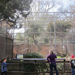 Golden Eagle Exhibit