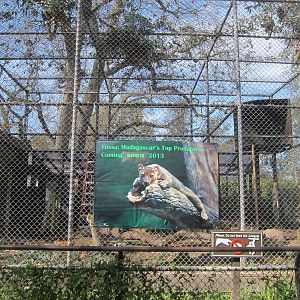 Future Fossa Exhibit