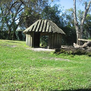 Myombe Reserve- Chimpanzee Exhibit