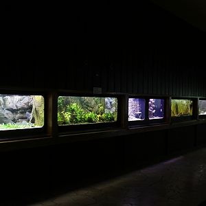 The interior of the aquarium building