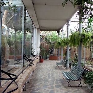 Inside of the pavilion of birds