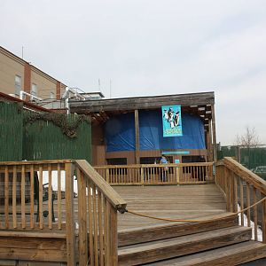 Leading Up to the Penguin Exhibit