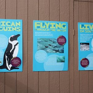 African Penguin Signage