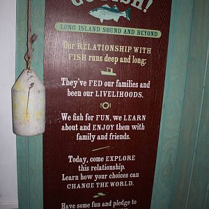 Go Fish!- Relationship Between Fish and Man