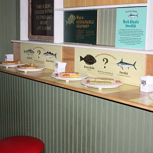 Go Fish!- The Right Choice