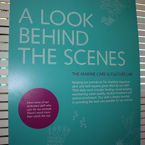 Marine Care Lab Sign