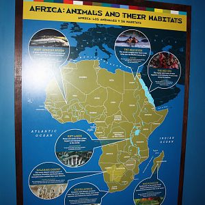 Africa: From the Desert to the Sea- Africa's Aquatic Habitats