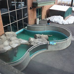 Overview of Outdoor Seal Pool
