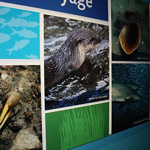 Hokin Family Sound Voyage Galleries