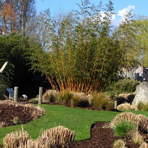 Chester Zoo 18 March 2012