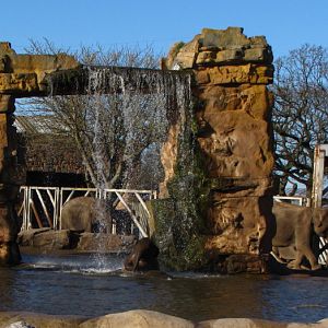 Chester Zoo 18 March 2012