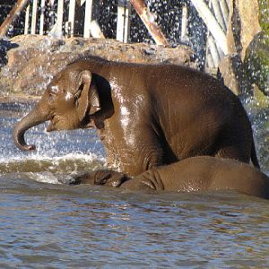 Chester Zoo 18 March 2012