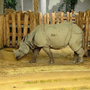 Tiergarten Schönbrunn 12.06.2012