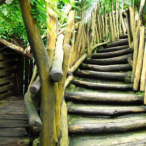 Tiergarten Schönbrunn 12.06.2010