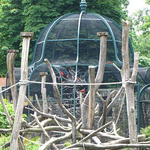 Tiergarten Schönbrunn 12.06.2010