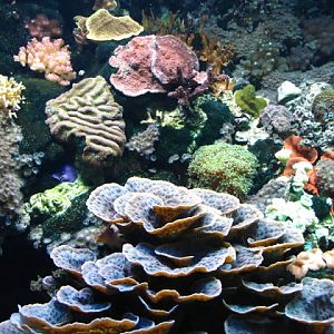 Tiergarten Schönbrunn 12.06.2010