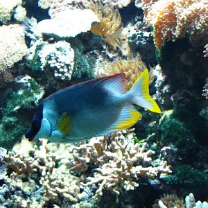 Tiergarten Schönbrunn 12.06.2010