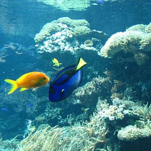 Tiergarten Schönbrunn 12.06.2010