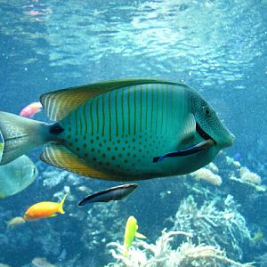 Tiergarten Schönbrunn 12.06.2010