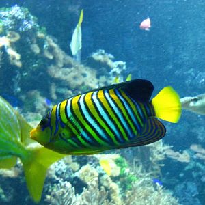 Tiergarten Schönbrunn 12.06.2010