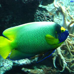 Tiergarten Schönbrunn 12.06.2010