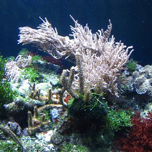 Tiergarten Schönbrunn 12.06.2010