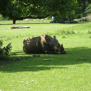 Cotswold Wildlife Park and Garden 03.06.2007