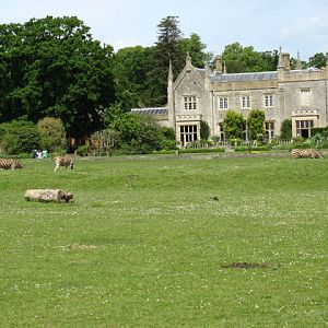 Cotswold Wildlife Park and Garden 03.06.2007