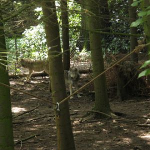 Cotswold Wildlife Park and Garden 03.06.2007