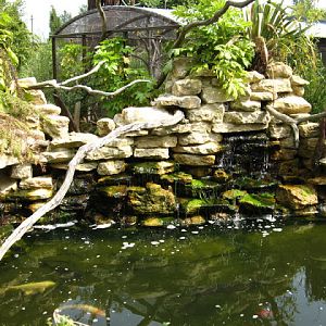 Cotswold Wildlife Park and Garden 03.06.2007