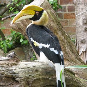 Cotswold Wildlife Park and Garden 03.06.2007