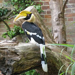 Cotswold Wildlife Park and Garden 03.06.2007