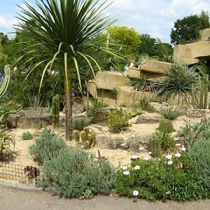 Cotswold Wildlife Park and Garden 03.06.2007