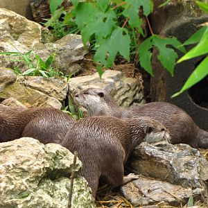 ZSL London Zoo 9.09.2010