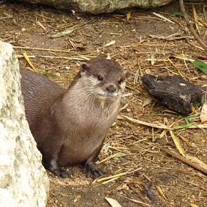ZSL London Zoo 9.09.2010