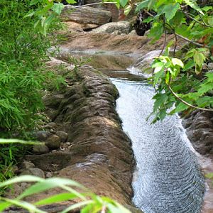 ZSL London Zoo 9.09.2010