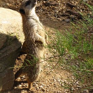 ZSL London Zoo 9.09.2010