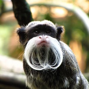 ZSL London Zoo 9.09.2010