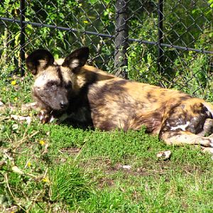 ZSL London Zoo 9.09.2010