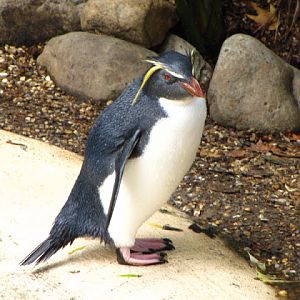 ZSL London Zoo 9.09.2010