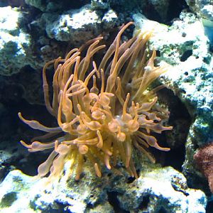 ZSL London Zoo 9.09.2010