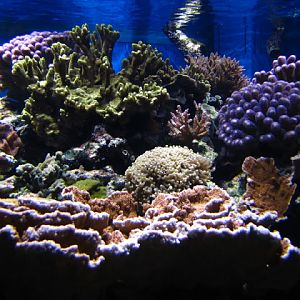 ZSL London Zoo 9.09.2010