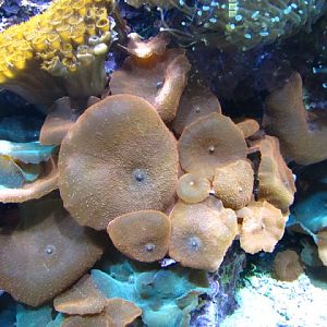 ZSL London Zoo 9.09.2010