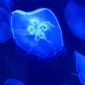 ZSL London Zoo 9.09.2010