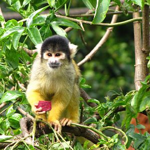 ZSL London Zoo 9.09.2010